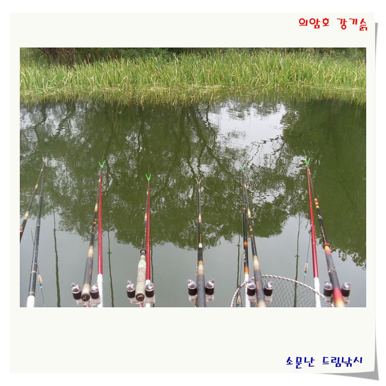 고루 고루 나와 주네요.