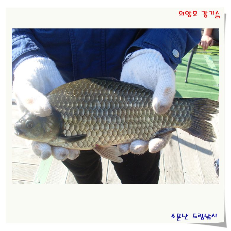 월척부터 마릿수까지.