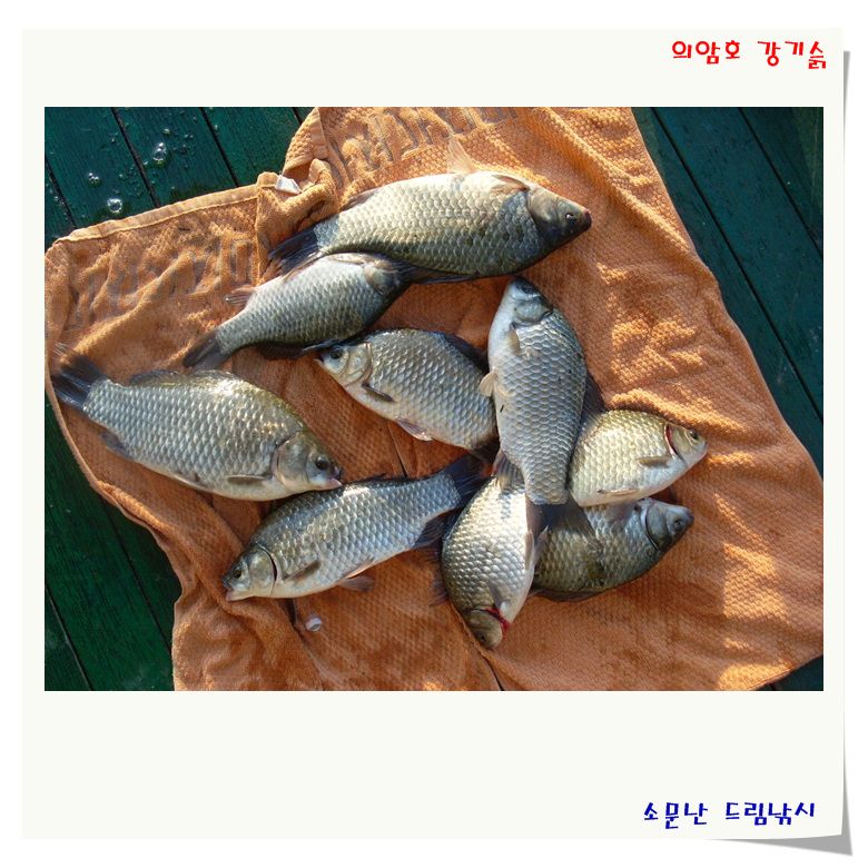 붕어는 대박인데 손님은 별로 없네여.