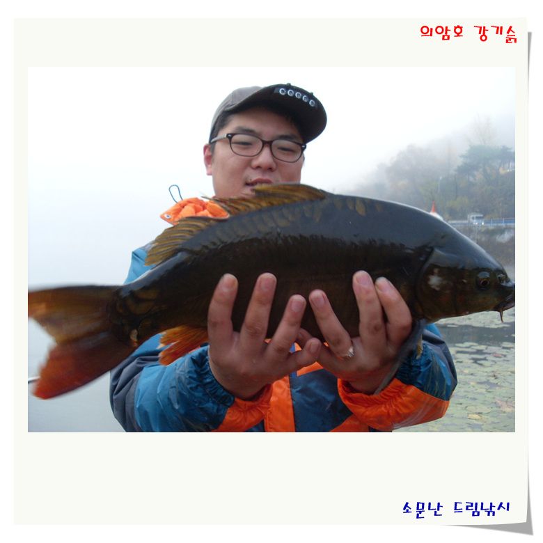 안개 낀 조황 입니다.