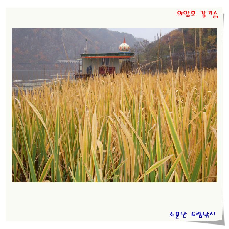 깊어가는 분위기는.....