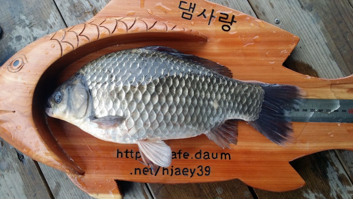 20150405_111107.jpg