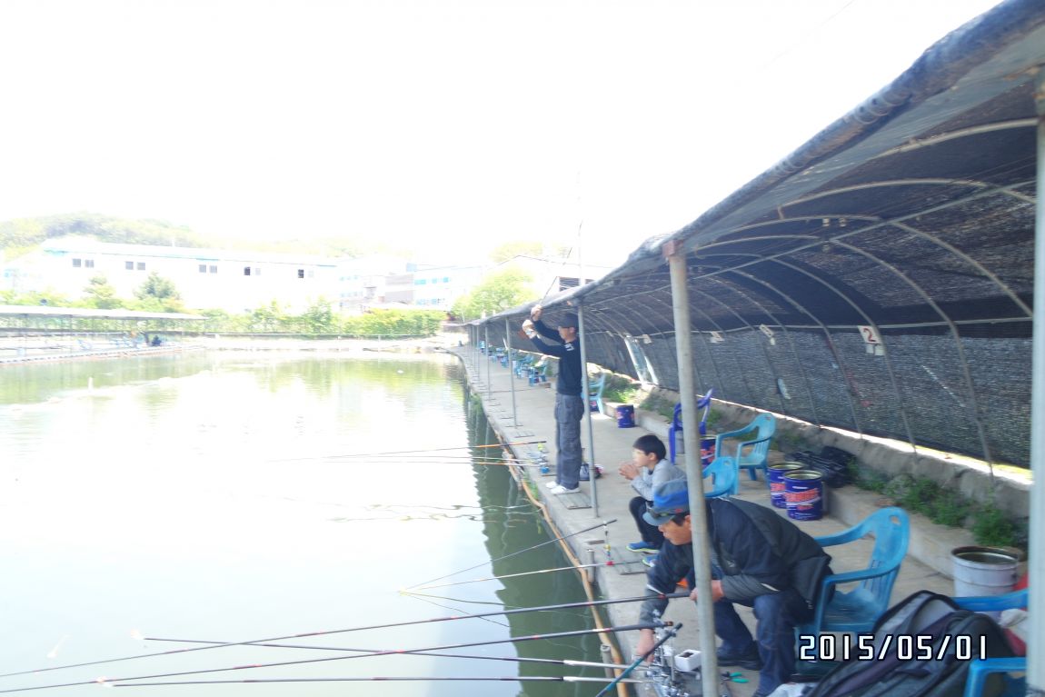 SAM_0239.JPG