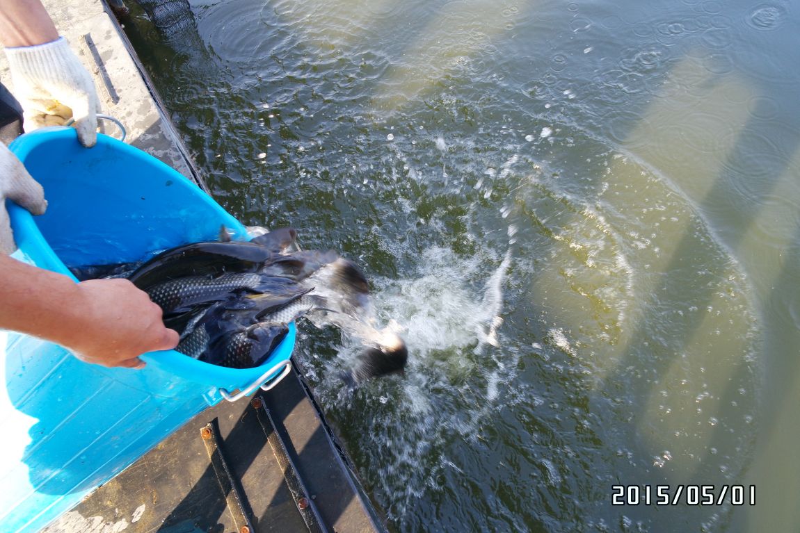SAM_0263.JPG