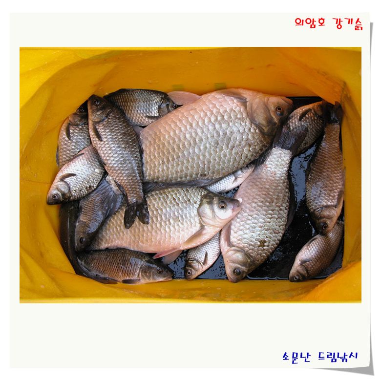 즐거웠던,연휴의조황정보입니다.