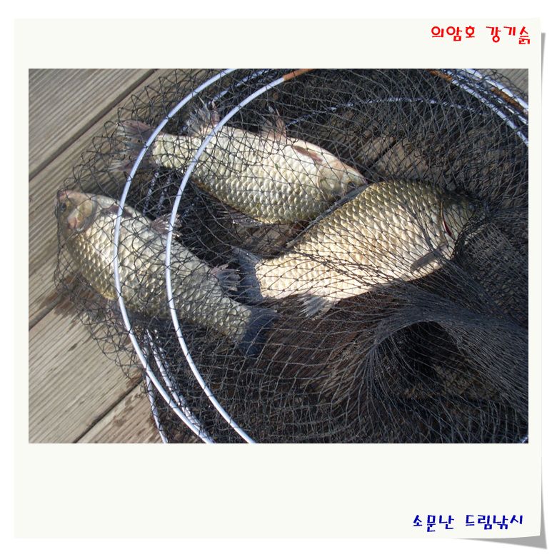 무엇이 이리 만드는지요?