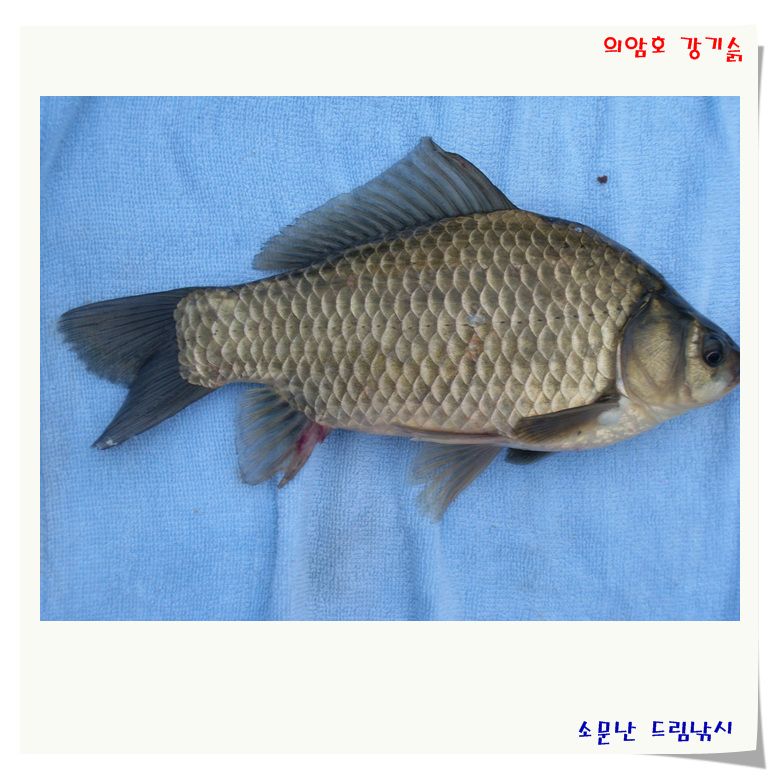 주말을 기다리는 목요일 입니다.