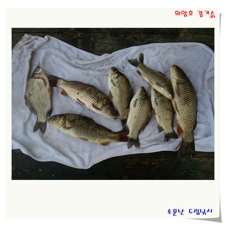 주말 조황 입니다.