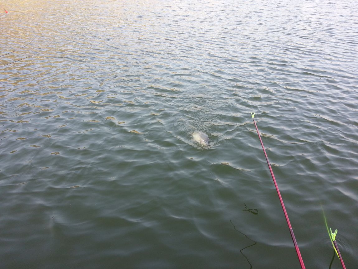 20150425_172404.jpg