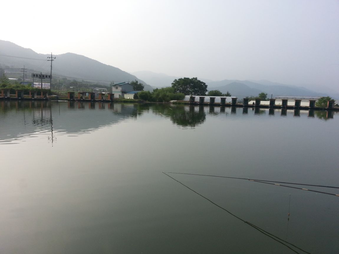 20150623_074515.jpg