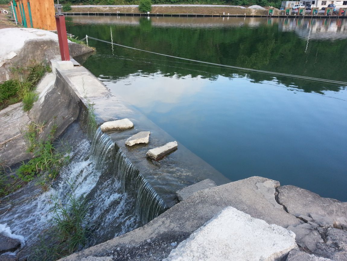 20150617_065354.jpg