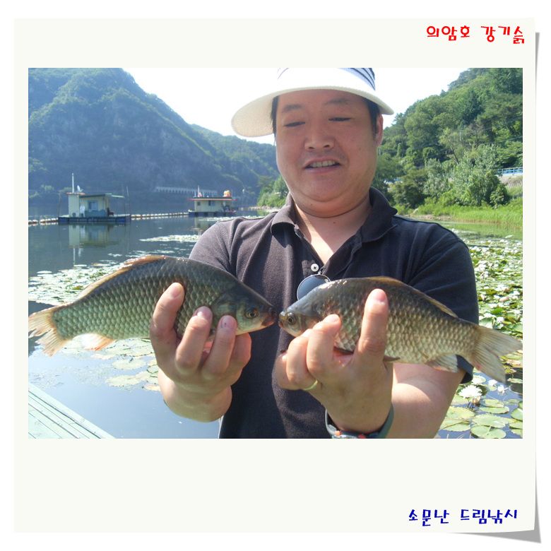 조황 정보 입니다.