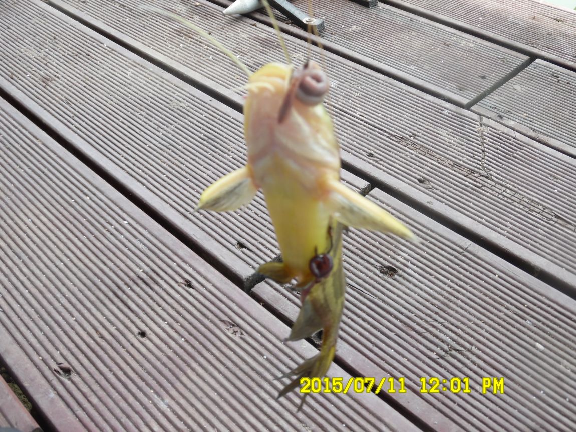 7¿ù10ÀÏ~11ÀÏ 013.JPG
