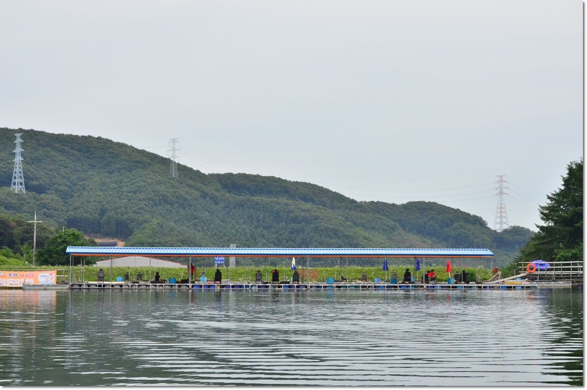 DSC_8919.JPG