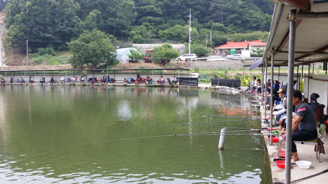 20150719_150805.jpg