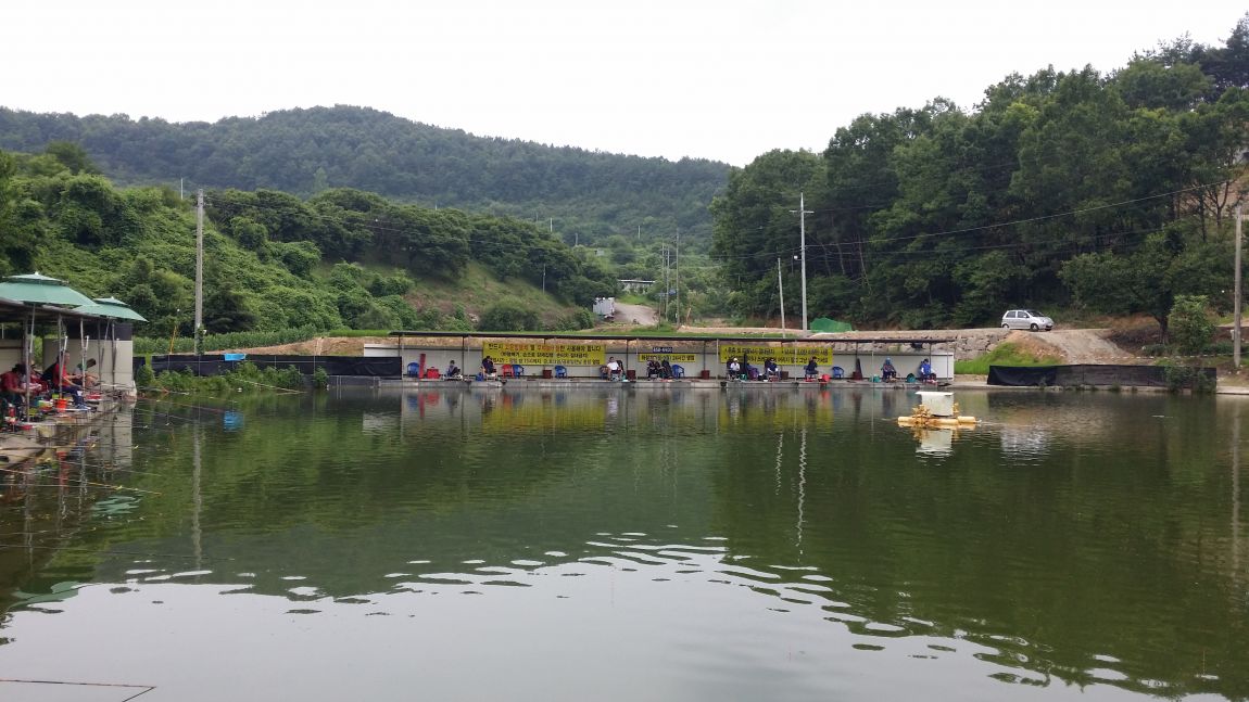 20150718_160455.jpg