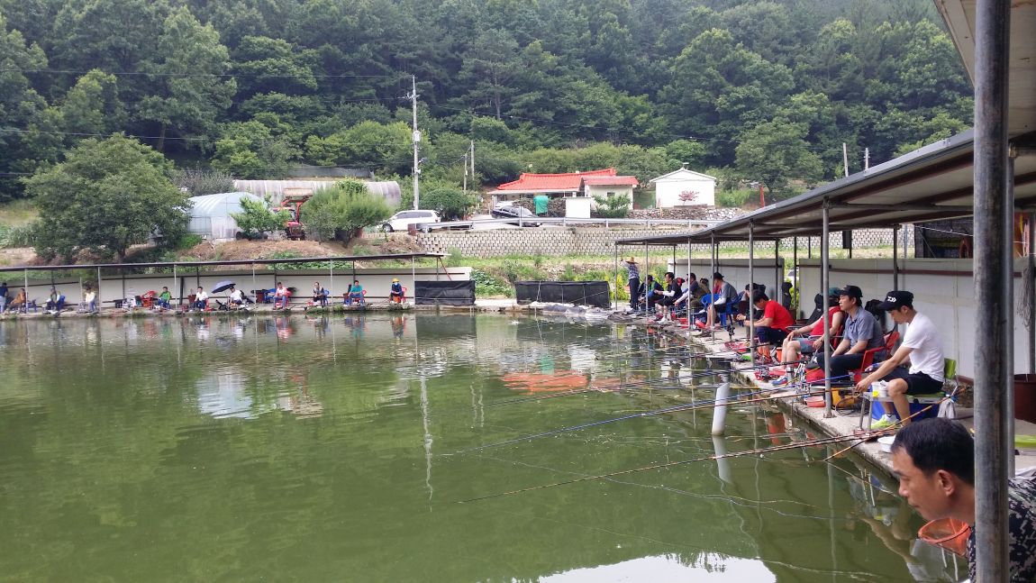 20150718_160508.jpg