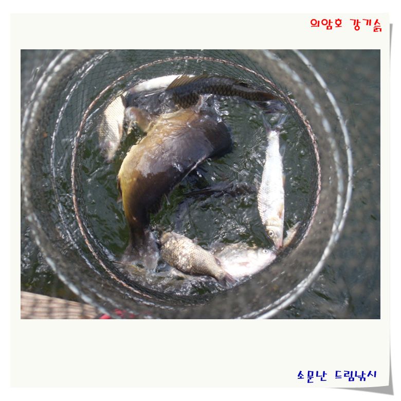 여름 휴가터로 강추합니다.