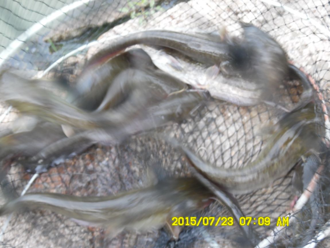 7¿ù22ÀÏ~23ÀÏ 002.JPG