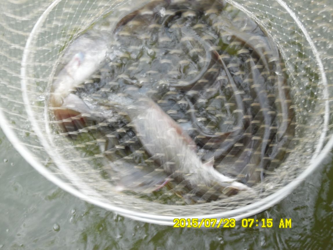 7¿ù22ÀÏ~23ÀÏ 004.JPG