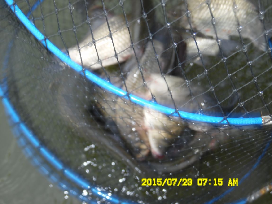 7¿ù22ÀÏ~23ÀÏ 005.JPG