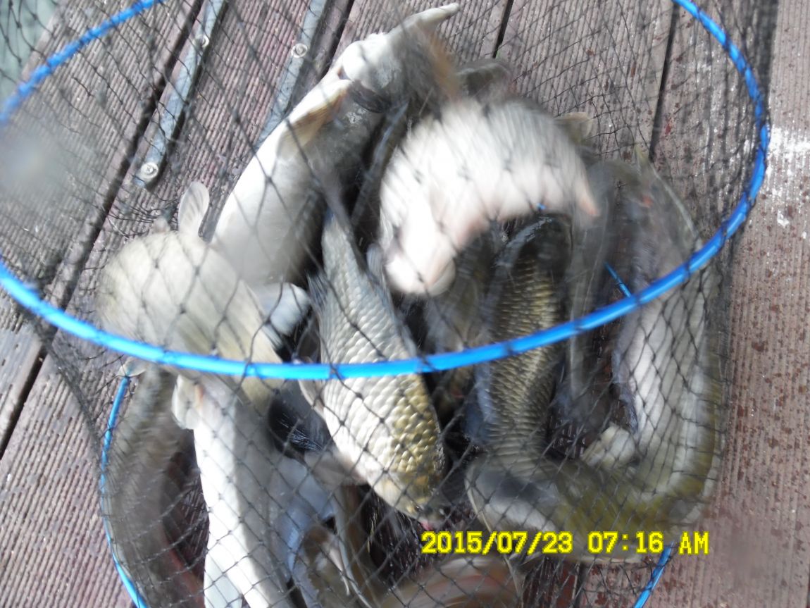 7¿ù22ÀÏ~23ÀÏ 006.JPG