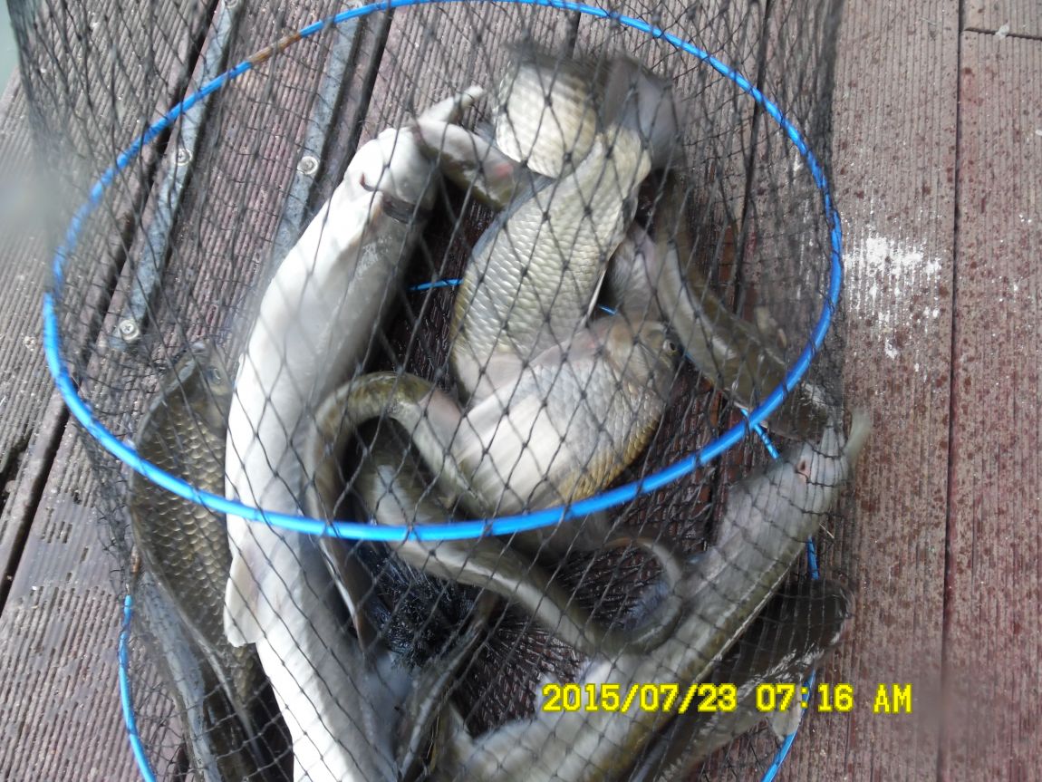 7¿ù22ÀÏ~23ÀÏ 007.JPG