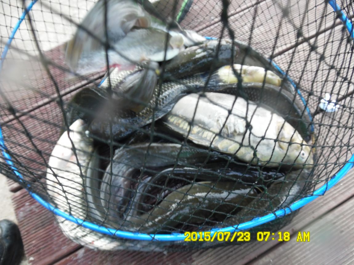 7¿ù22ÀÏ~23ÀÏ 008.JPG