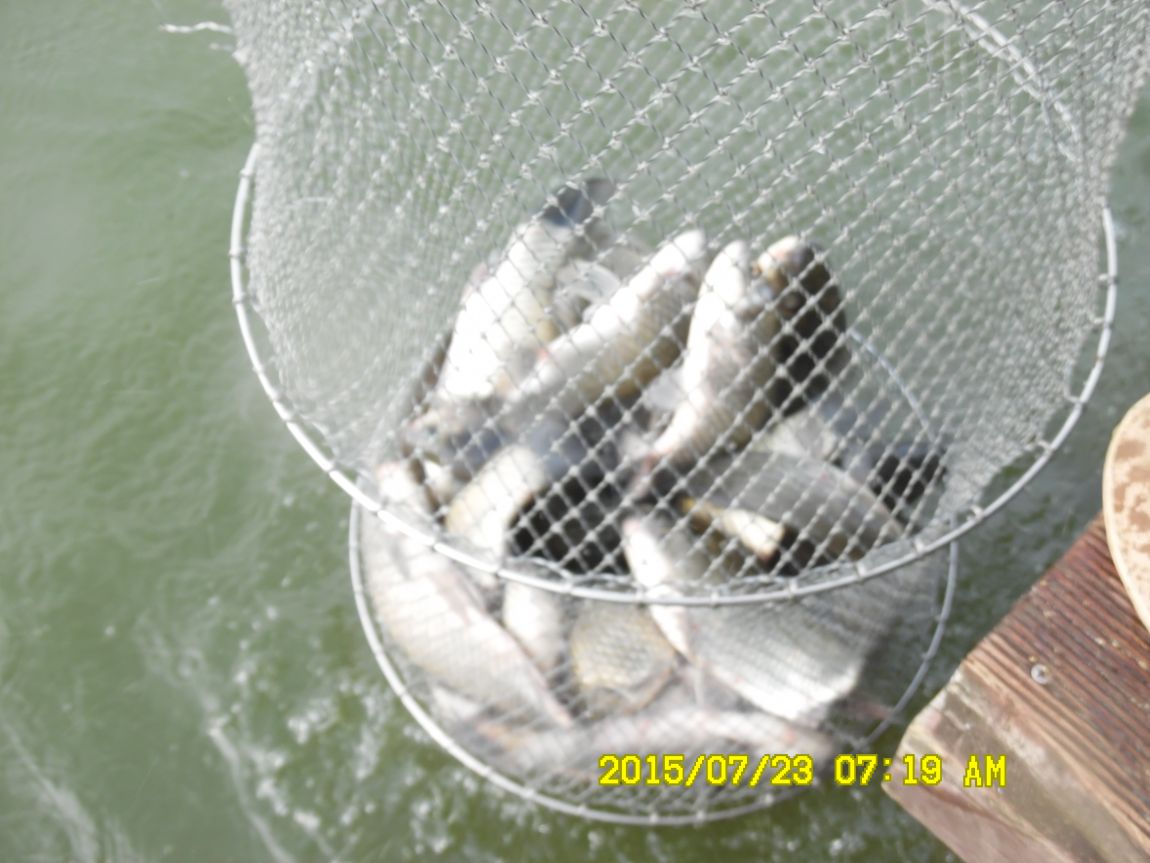 7¿ù22ÀÏ~23ÀÏ 009.JPG