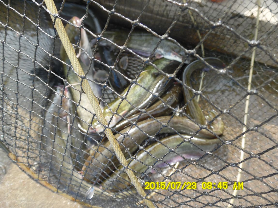 7¿ù22ÀÏ~23ÀÏ 010.JPG