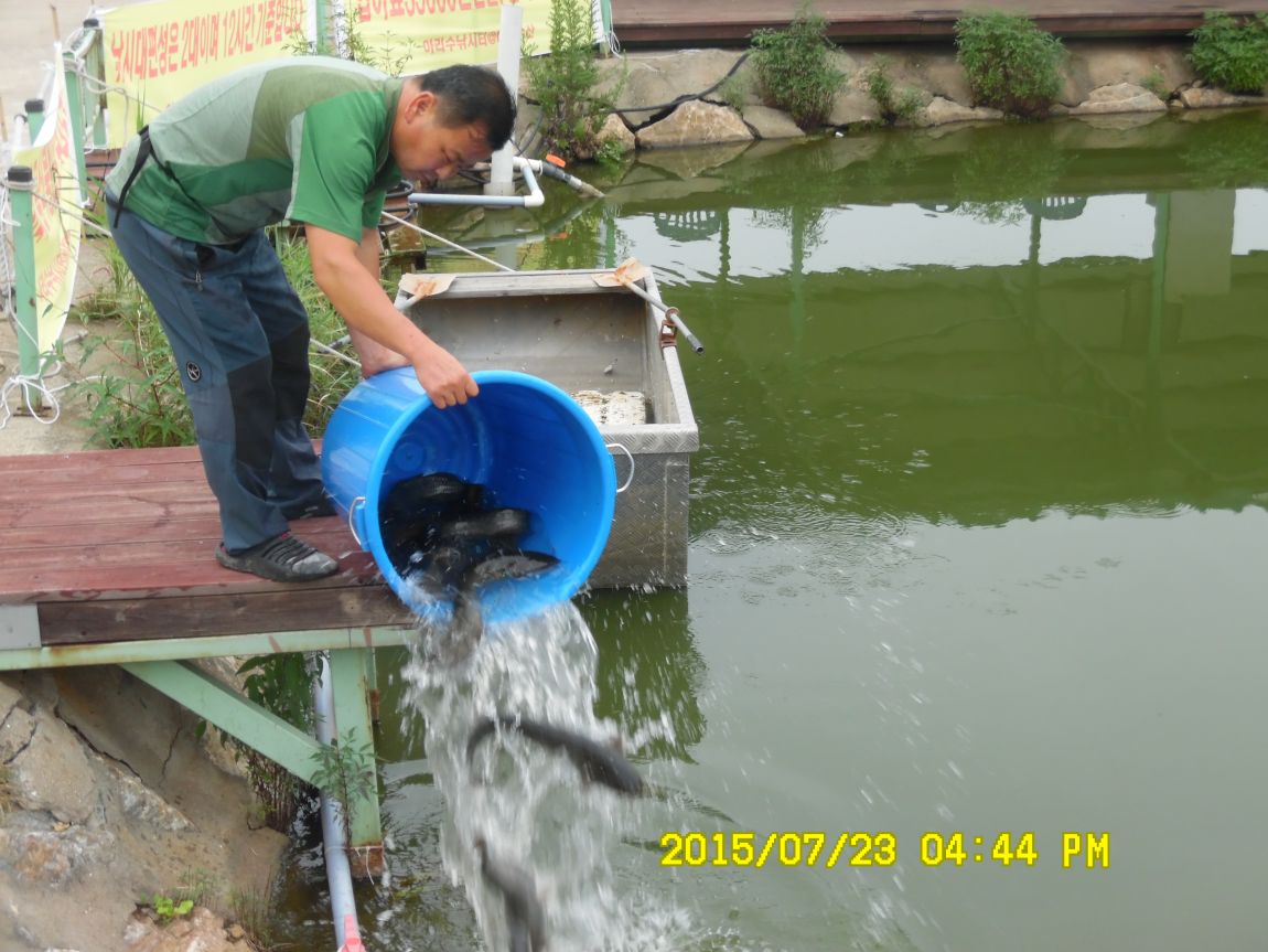 7¿ù22ÀÏ~23ÀÏ 011.JPG