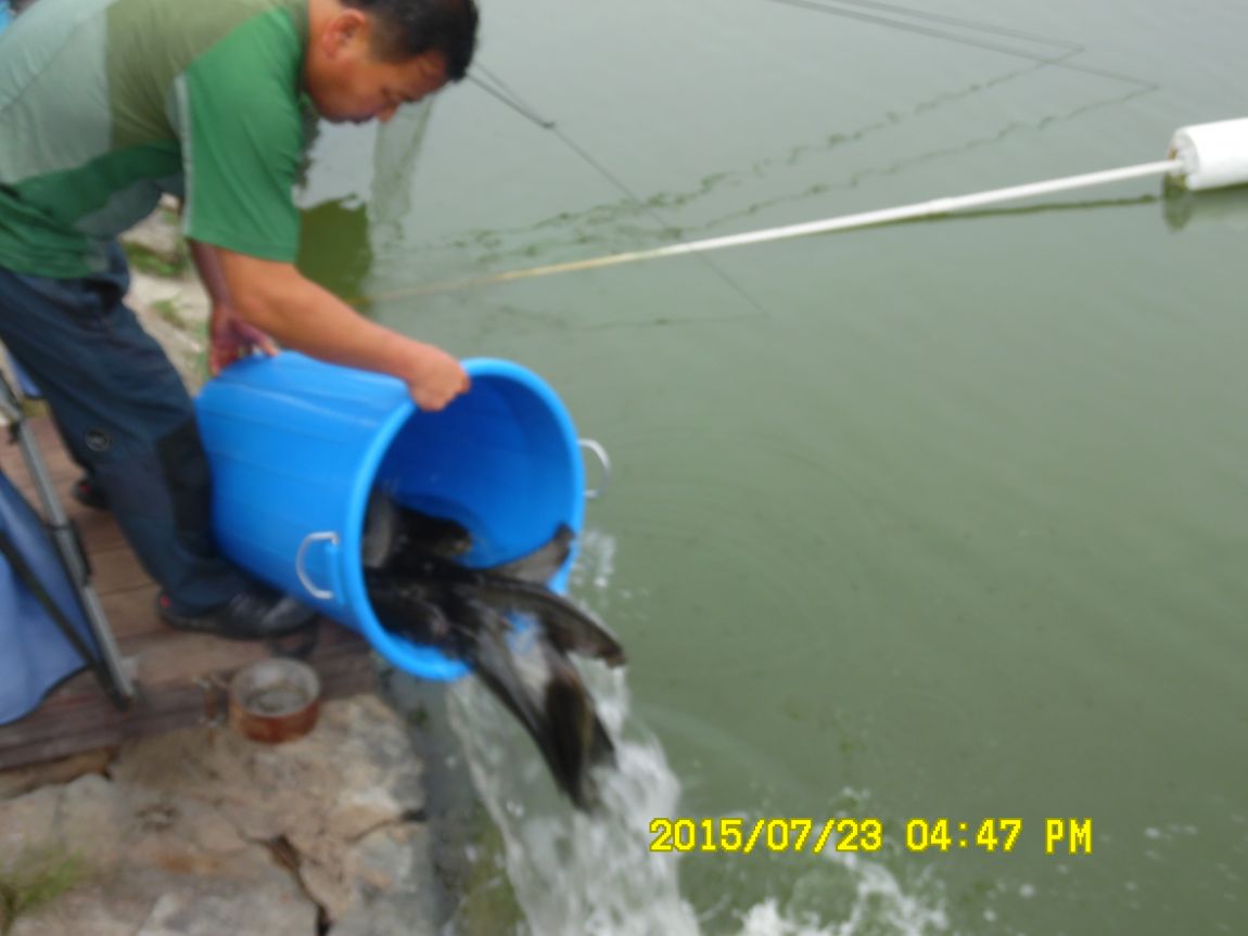 7¿ù22ÀÏ~23ÀÏ 012.JPG