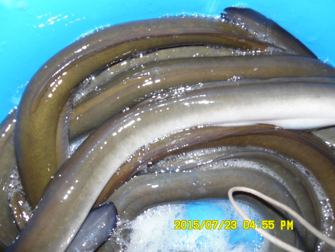 7¿ù22ÀÏ~23ÀÏ 014.JPG