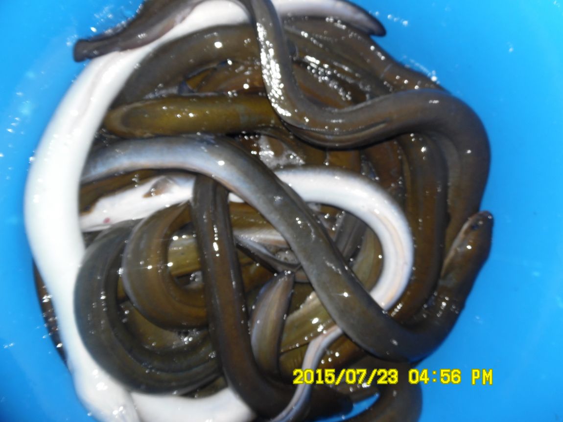 7¿ù22ÀÏ~23ÀÏ 015.JPG