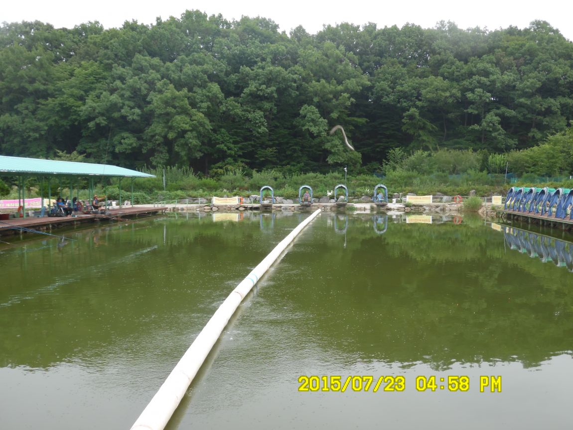 7¿ù22ÀÏ~23ÀÏ 017.JPG