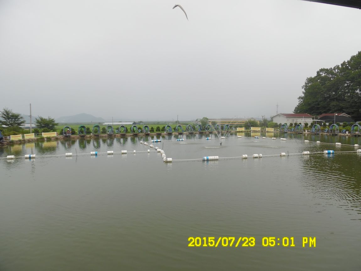 7¿ù22ÀÏ~23ÀÏ 020.JPG