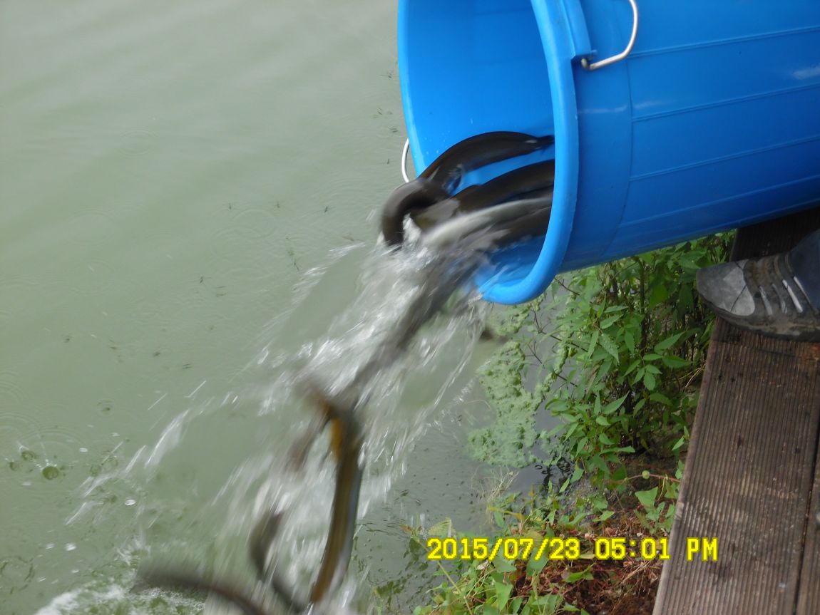 7¿ù22ÀÏ~23ÀÏ 021.JPG