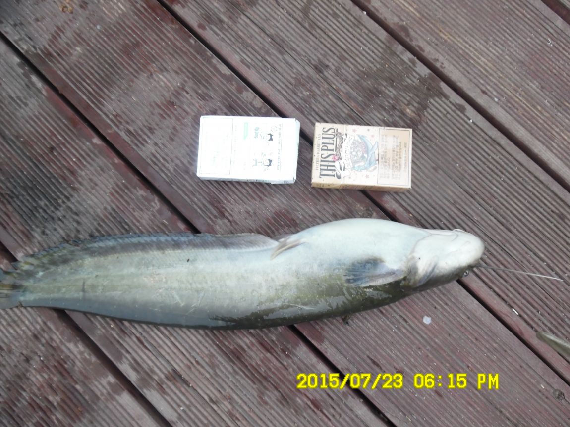 7¿ù22ÀÏ~23ÀÏ 025.JPG