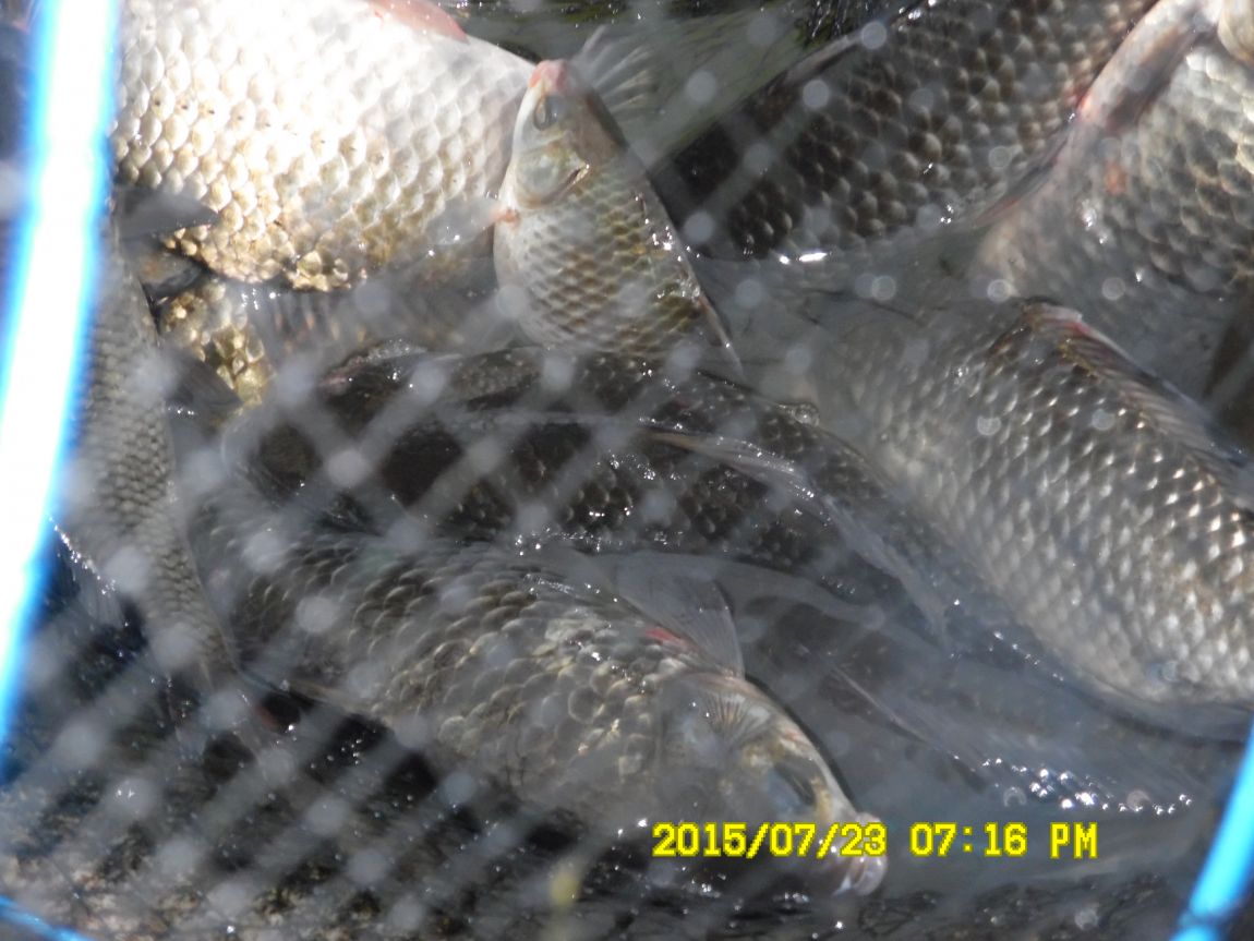 7¿ù22ÀÏ~23ÀÏ 035.JPG