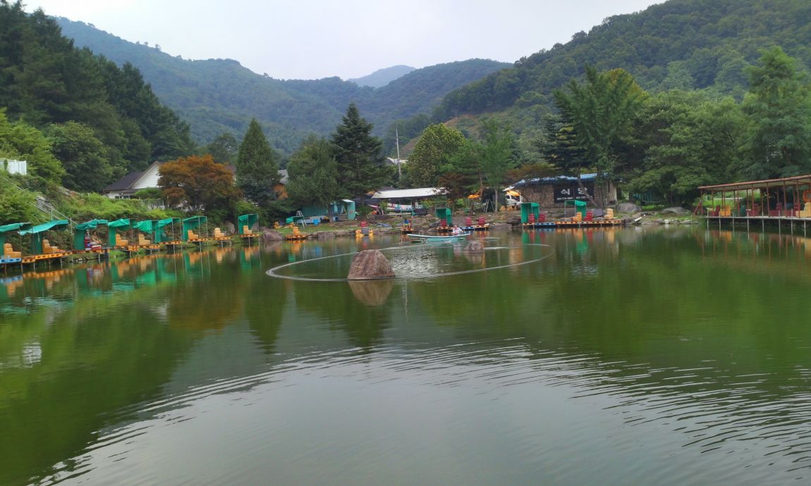 IMG_20150723_141141.jpg
