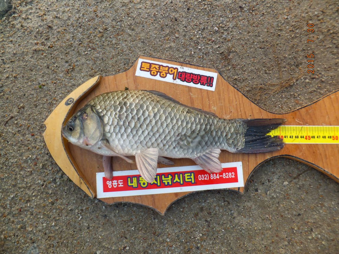 201300703 040.jpg