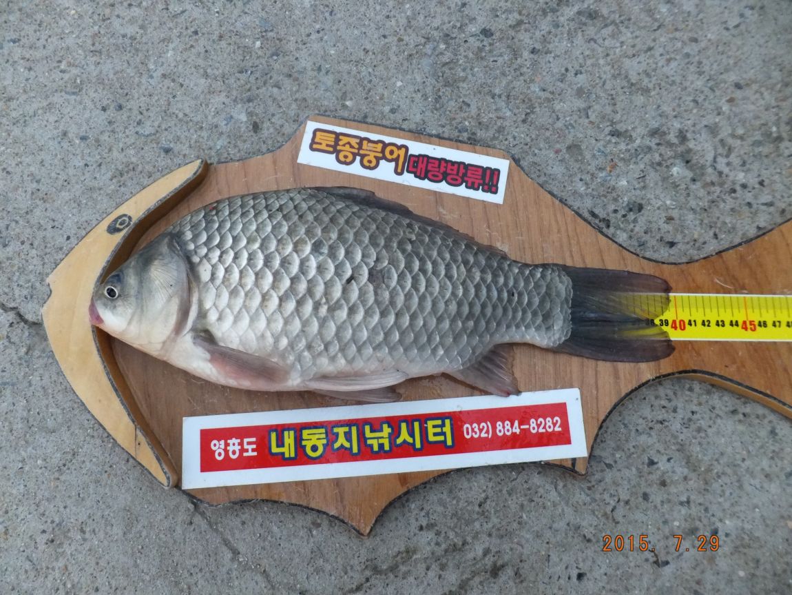 201300703 035.jpg