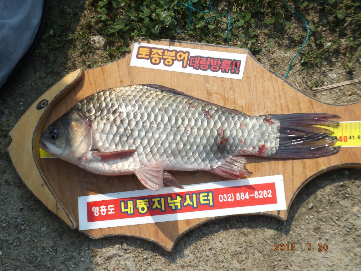 201300703 001.jpg