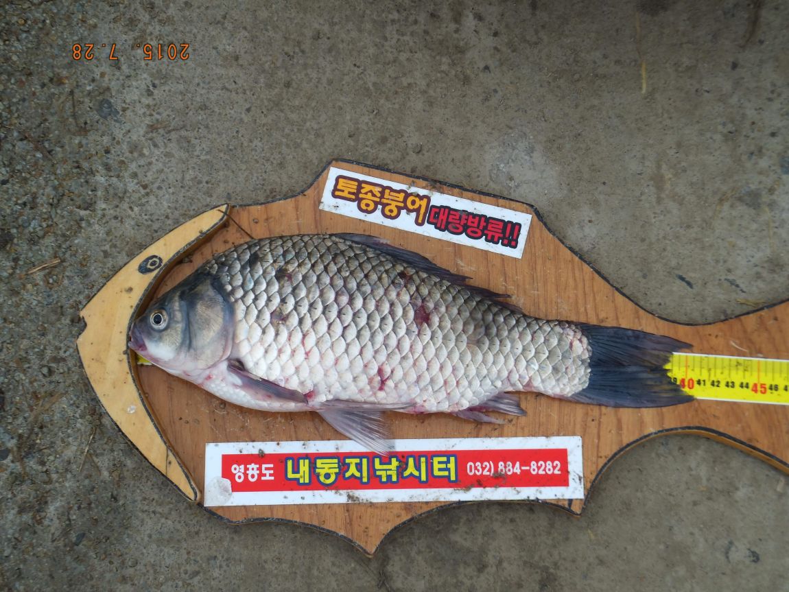 201300703 018.jpg