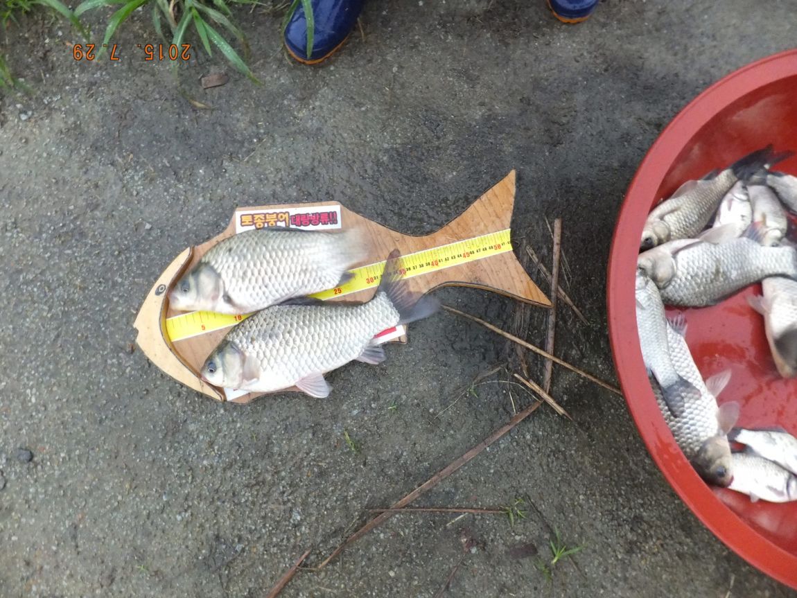 201300703 029.jpg