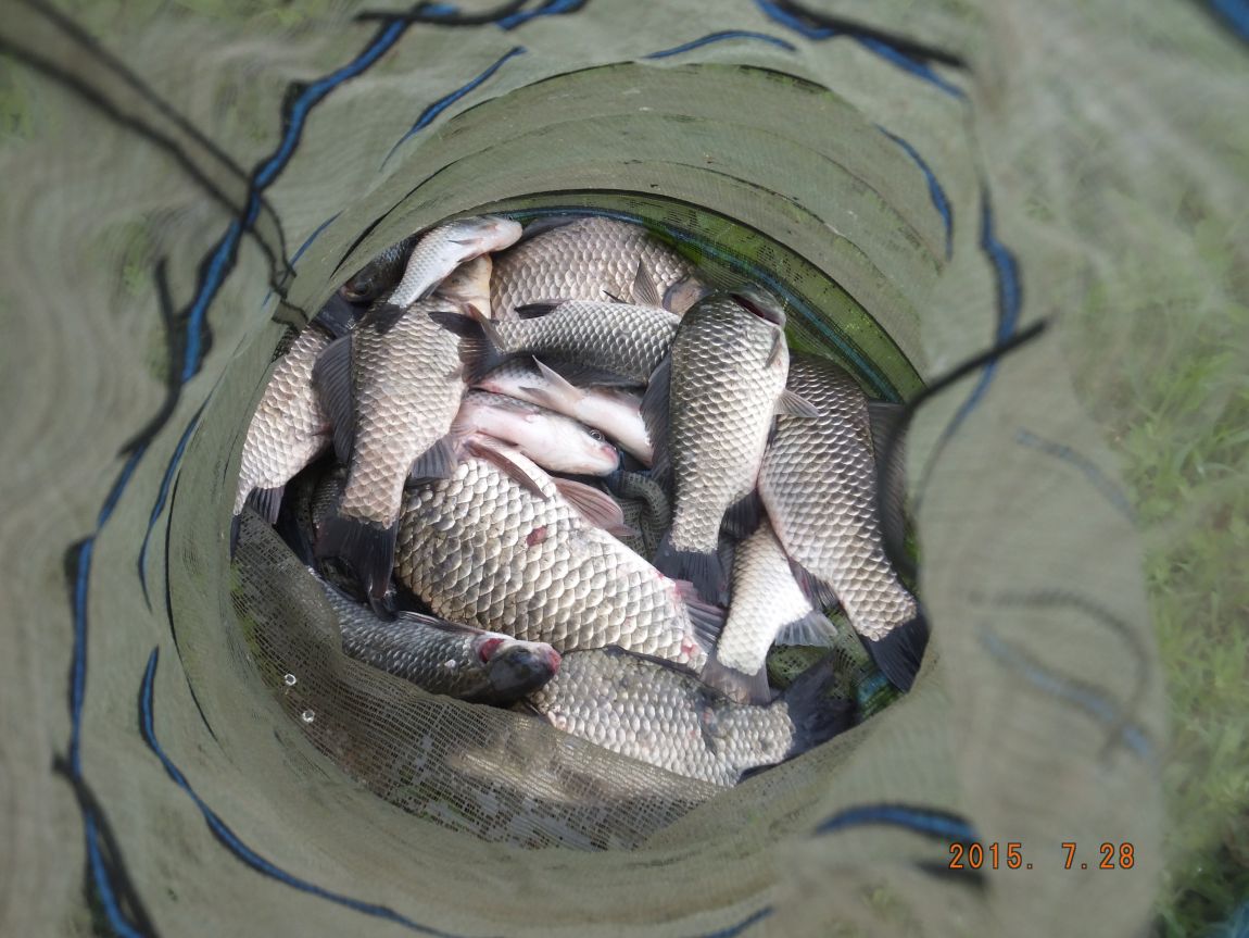 201300703 015.jpg