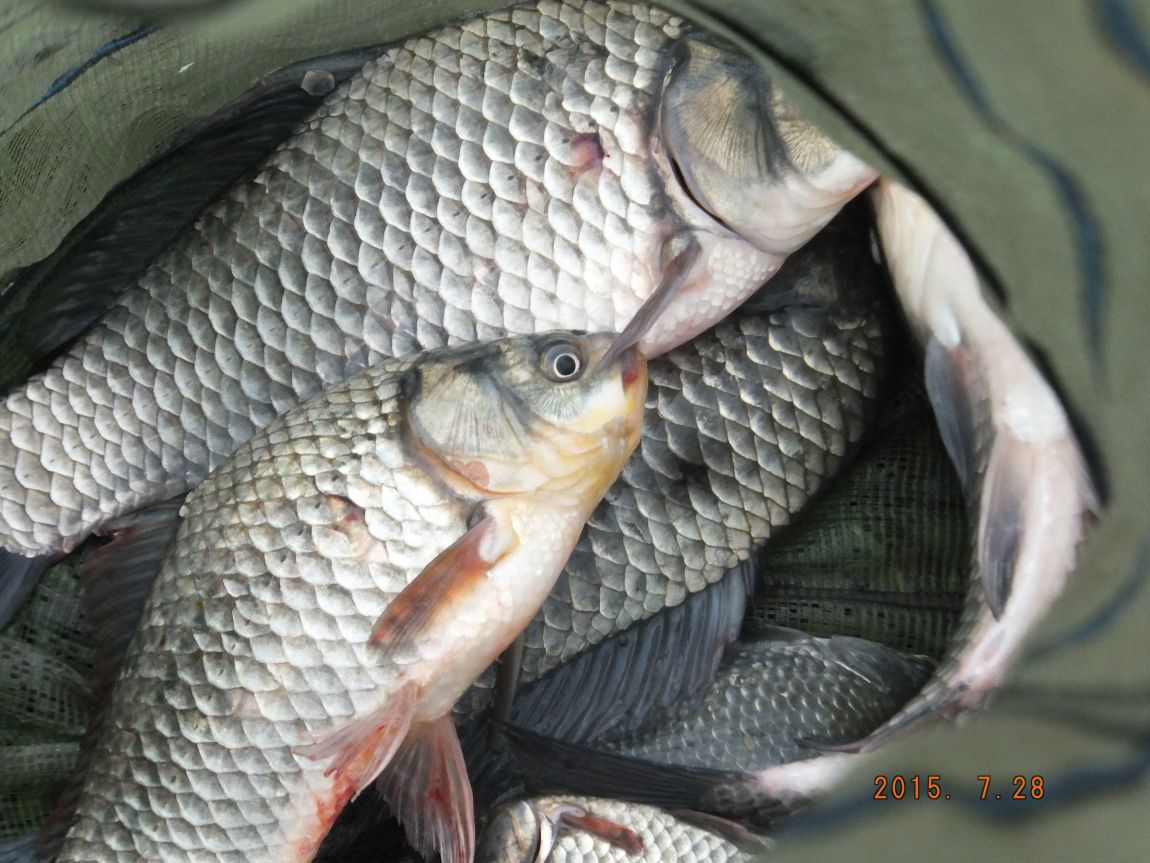 201300703 012.jpg