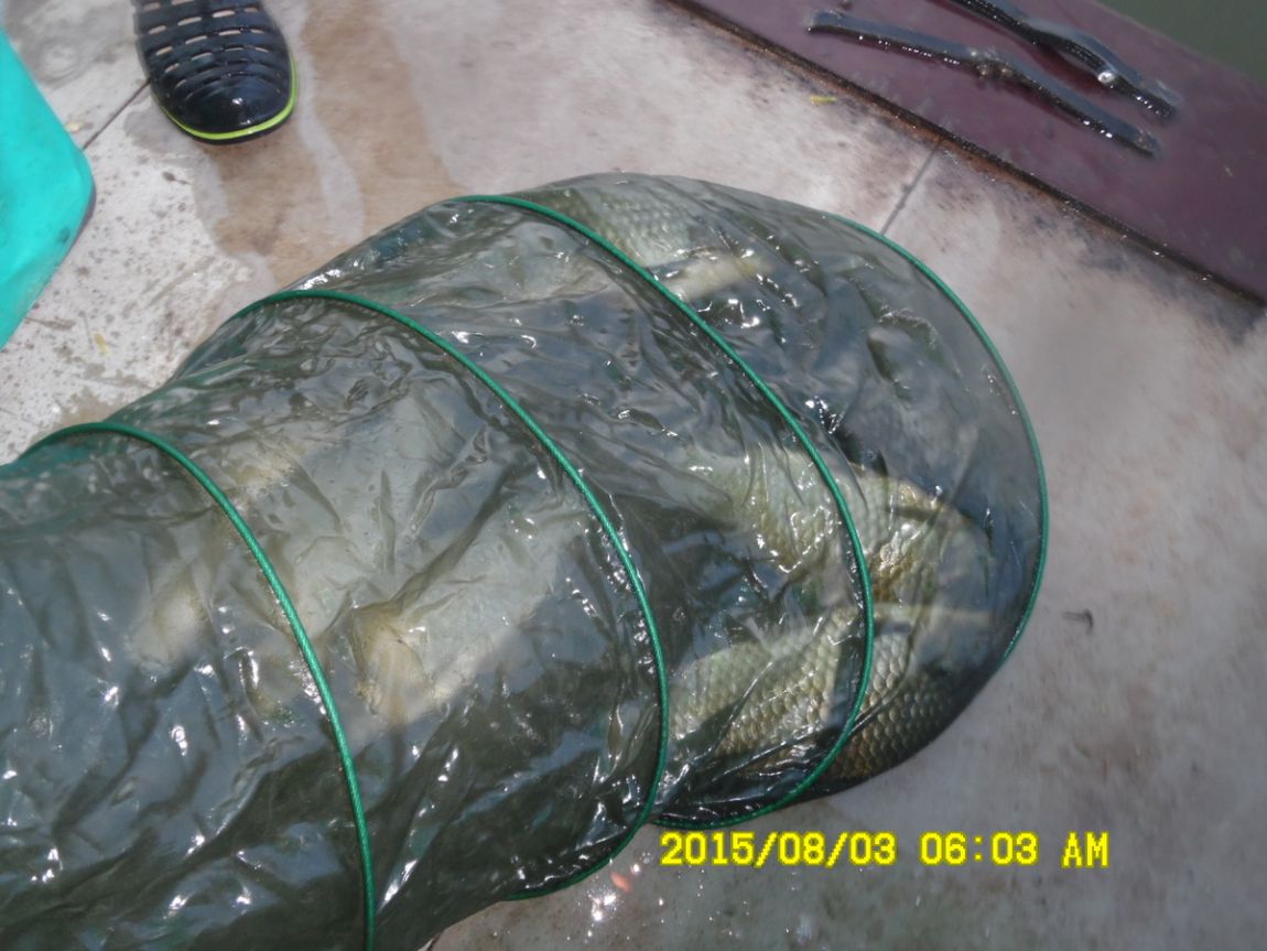 10-SAM_6576.JPG