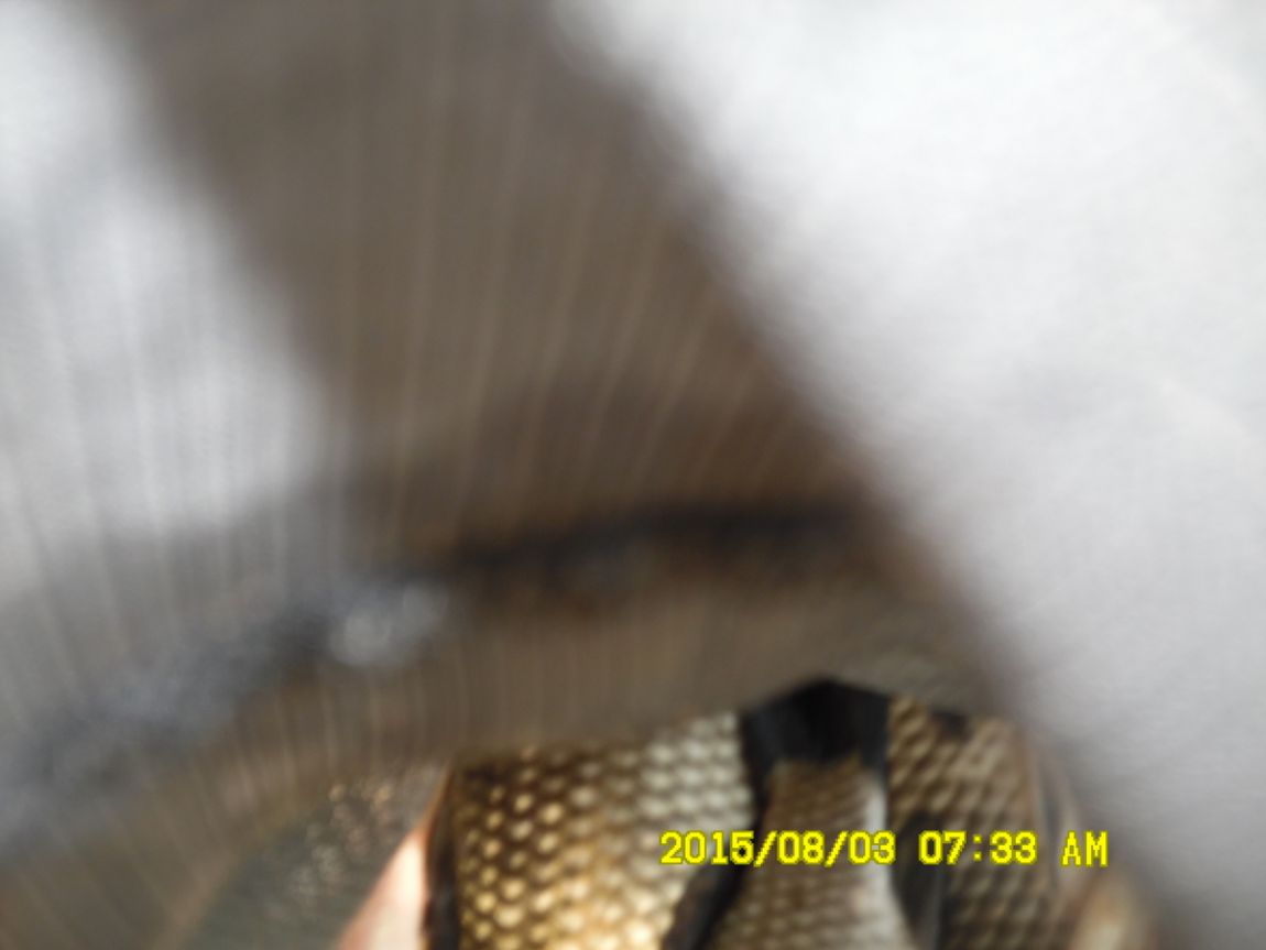 80-SAM_6646.JPG
