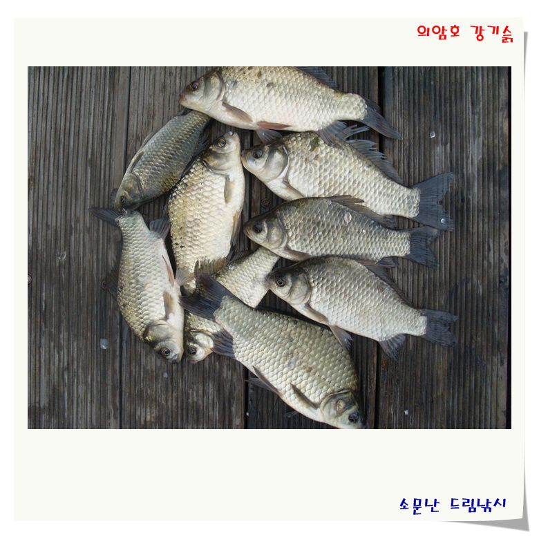 휴가철 끝자락에 강추합니다.